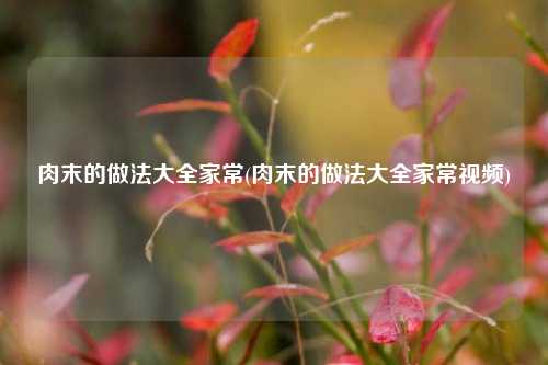 肉末的做法大全家常(肉末的做法大全家常视频)