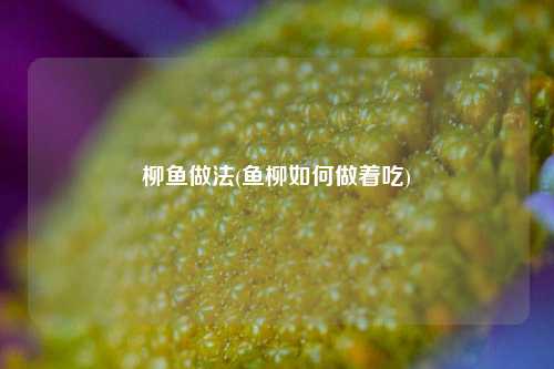 柳鱼做法(鱼柳如何做着吃)