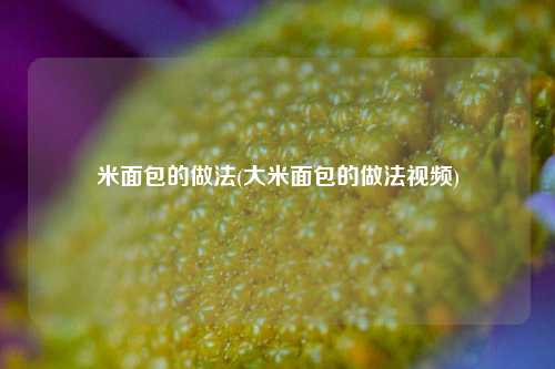米面包的做法(大米面包的做法视频)
