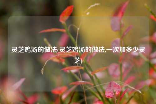 灵芝鸡汤的做法(灵芝鸡汤的做法,一次加多少灵芝)