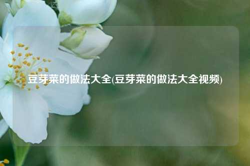 豆芽菜的做法大全(豆芽菜的做法大全视频)