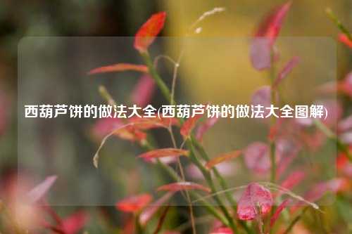 西葫芦饼的做法大全(西葫芦饼的做法大全图解)