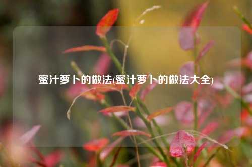 蜜汁萝卜的做法(蜜汁萝卜的做法大全)