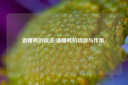 酒糟鸭的做法(酒糟鸭的功效与作用)
