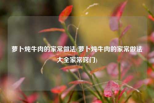 萝卜炖牛肉的家常做法(萝卜炖牛肉的家常做法大全家常窍门)