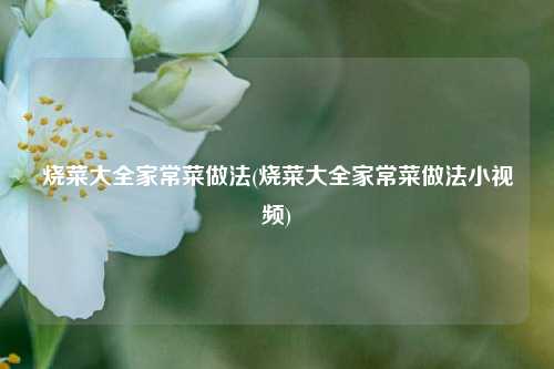 烧菜大全家常菜做法(烧菜大全家常菜做法小视频)
