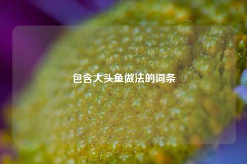 包含大头鱼做法的词条
