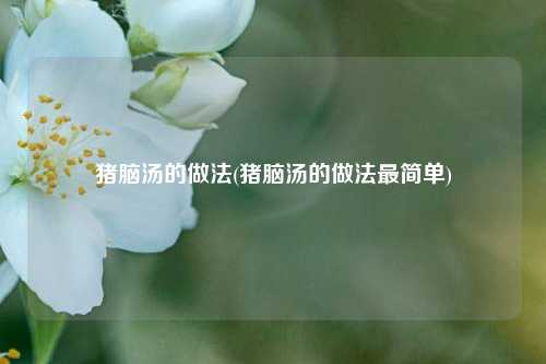 猪脑汤的做法(猪脑汤的做法最简单)