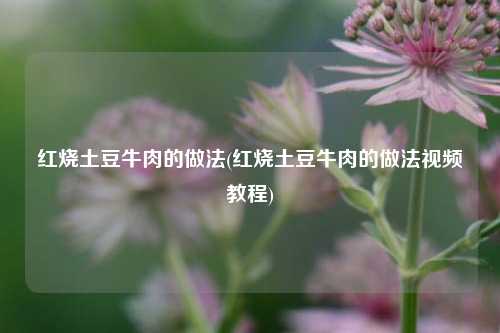 红烧土豆牛肉的做法(红烧土豆牛肉的做法视频教程)
