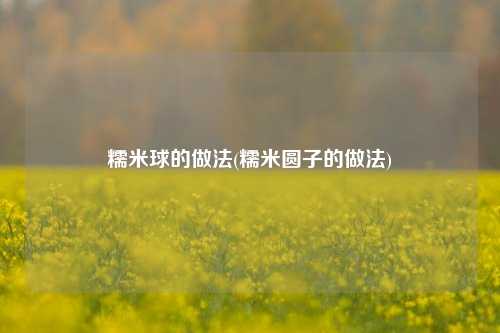 糯米球的做法(糯米圆子的做法)