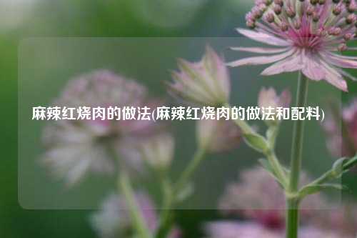 麻辣红烧肉的做法(麻辣红烧肉的做法和配料)