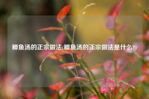 鲫鱼汤的正宗做法(鲫鱼汤的正宗做法是什么?)
