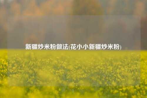 新疆炒米粉做法(花小小新疆炒米粉)