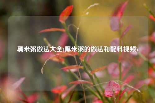 黑米粥做法大全(黑米粥的做法和配料视频)