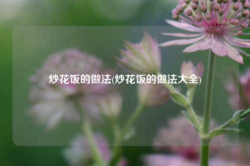 炒花饭的做法(炒花饭的做法大全)