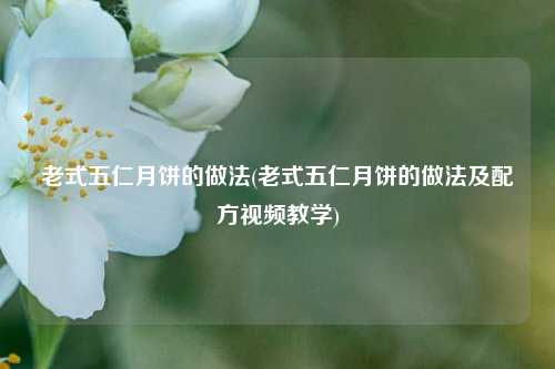 老式五仁月饼的做法(老式五仁月饼的做法及配方视频教学)