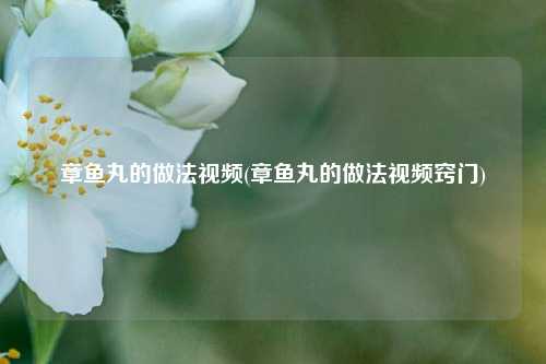 章鱼丸的做法视频(章鱼丸的做法视频窍门)
