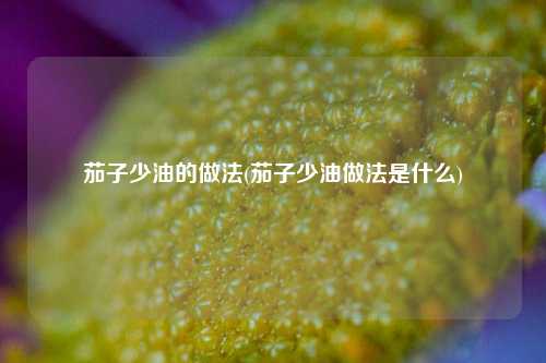 茄子少油的做法(茄子少油做法是什么)