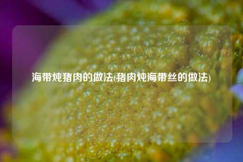 海带炖猪肉的做法(猪肉炖海带丝的做法)
