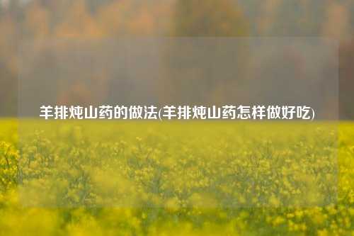 羊排炖山药的做法(羊排炖山药怎样做好吃)
